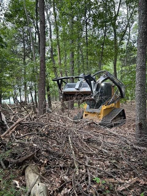 land clearing project in Richmond