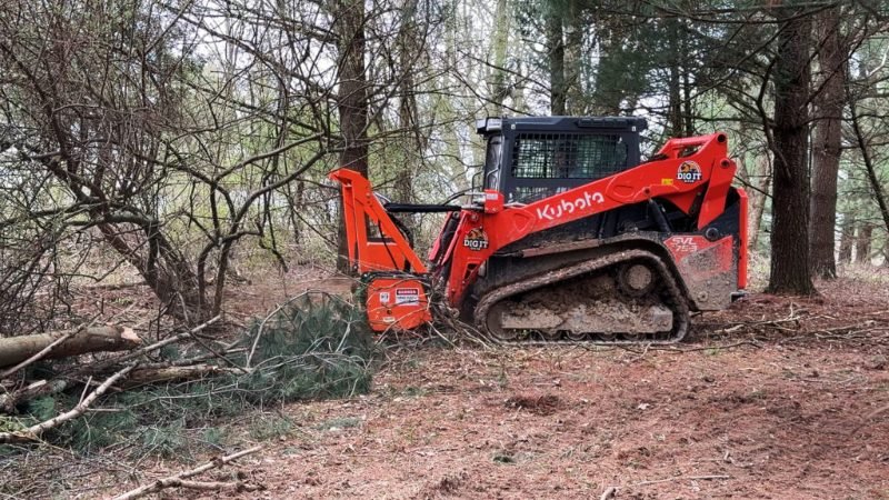 land clearing project in Richmond