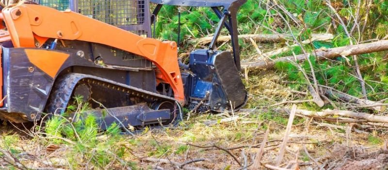 land clearing in Doswell
