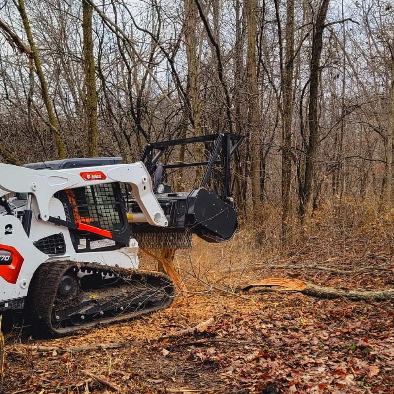 land clearing project in Richmond