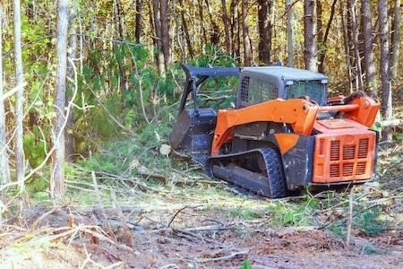 land clearing project in Richmond