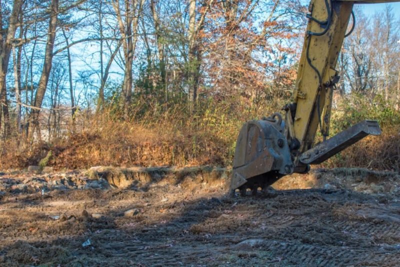 land clearing project in Richmond