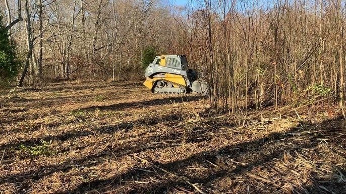 land clearing project in Richmond