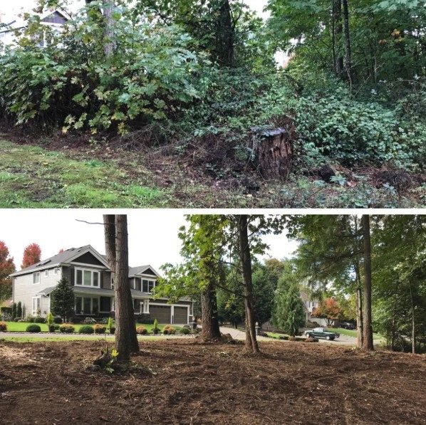 Lot Clearing in Richmond