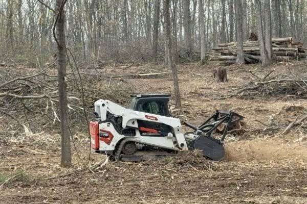 Stump Grinding in Richmond