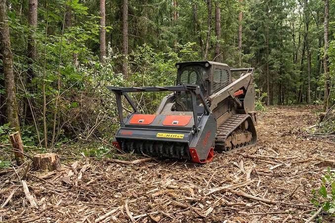 Tree Removal in Richmond