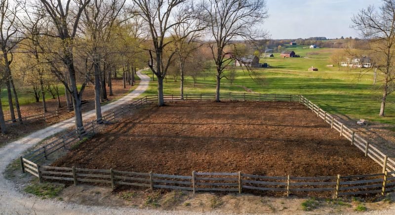 Underbrush Removal in Richmond