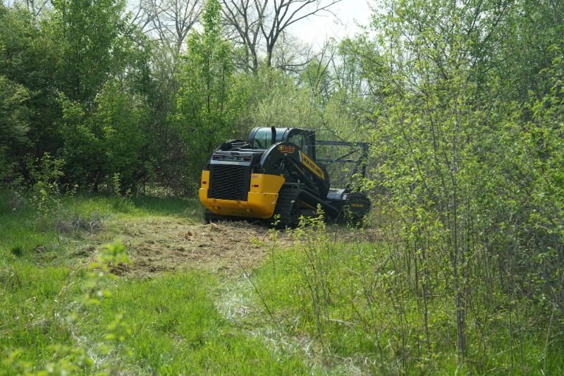 Vegetation Management in Richmond